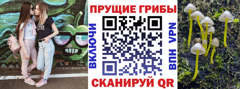 Псилоцибиновые грибы Psilocybe Баймак